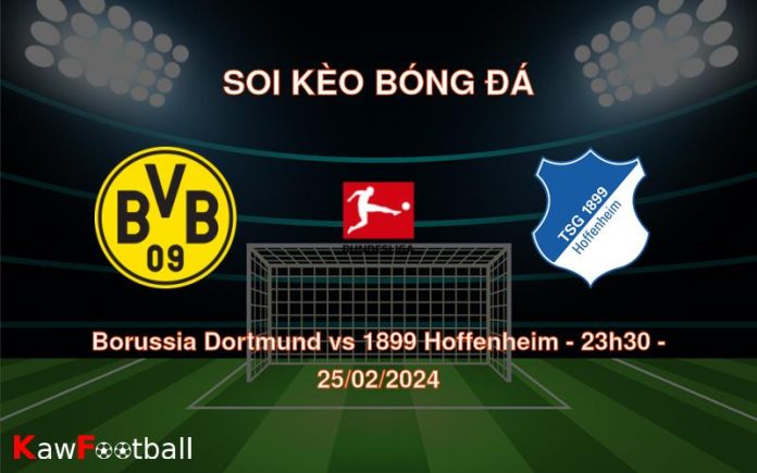 Soi kèo bóng đá Borussia Dortmund vs 1899 Hoffenheim