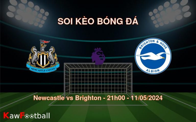 Soi kèo bóng đá Newcastle vs Brighton – 21h00 – 11/05/2024